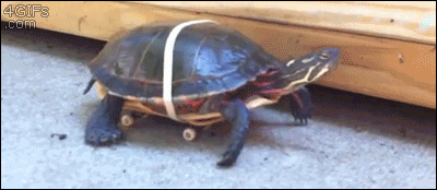 fast sales onboarding