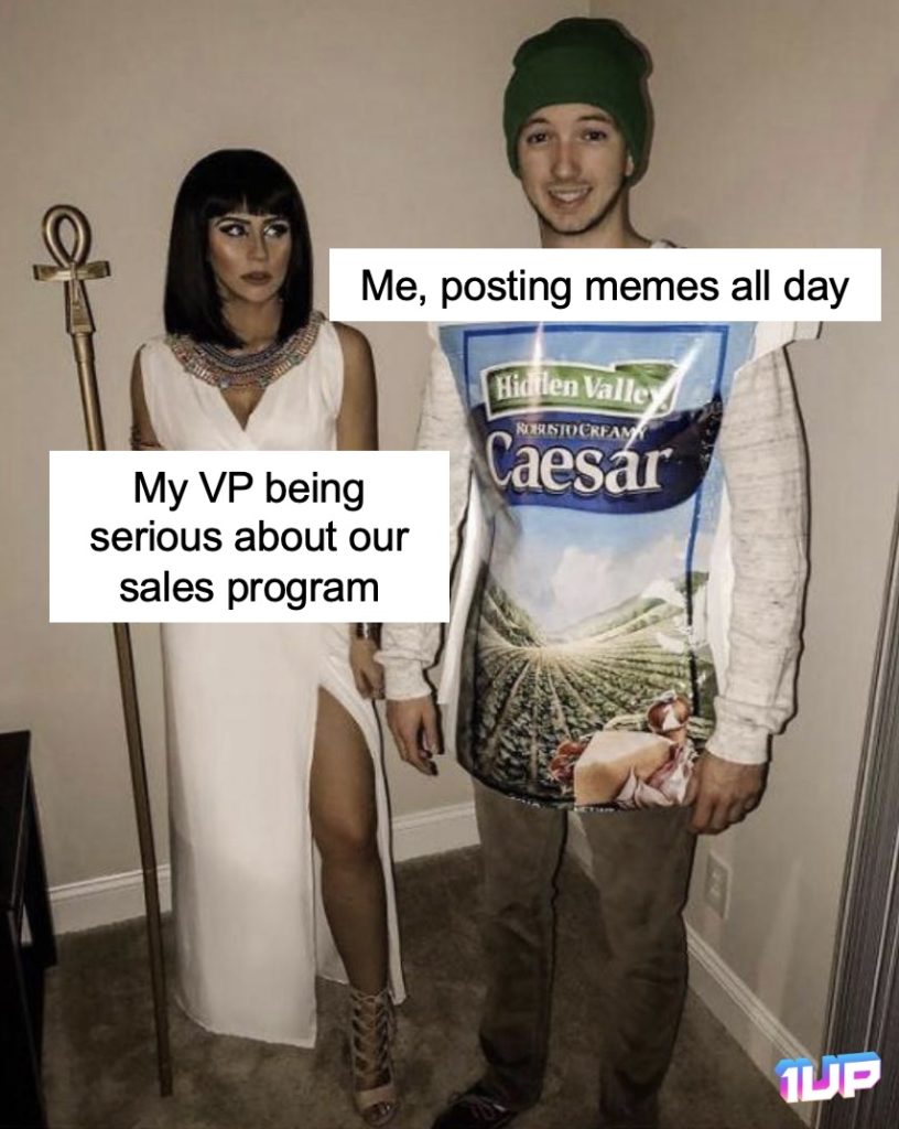 Marketing Program Meme