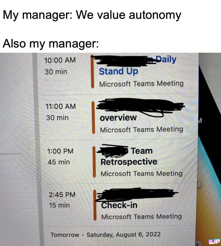 Micro Manager Meme