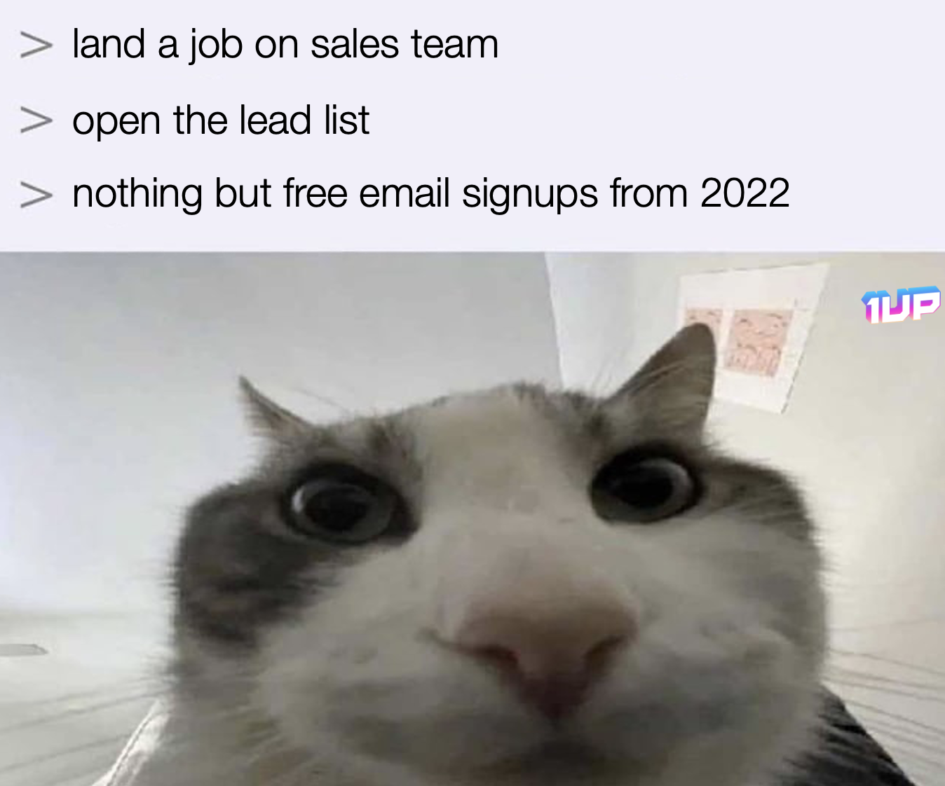 Sales lead list meme