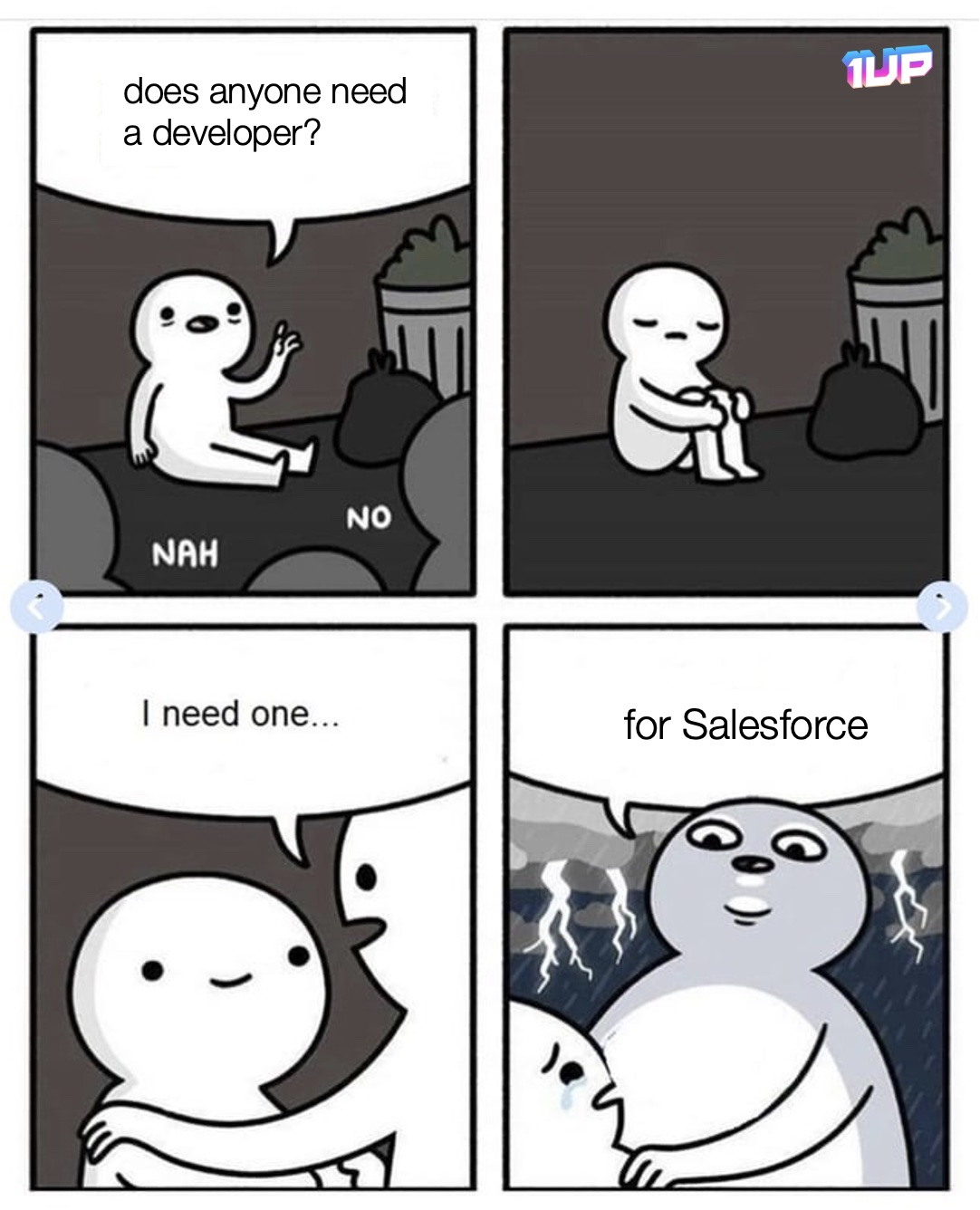 Salesforce Developer Meme