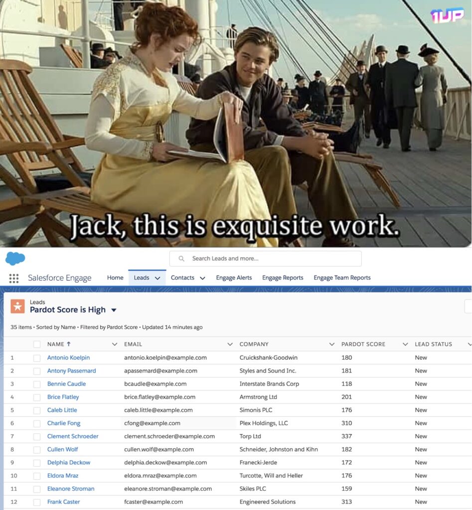 Salesforce Leads Meme