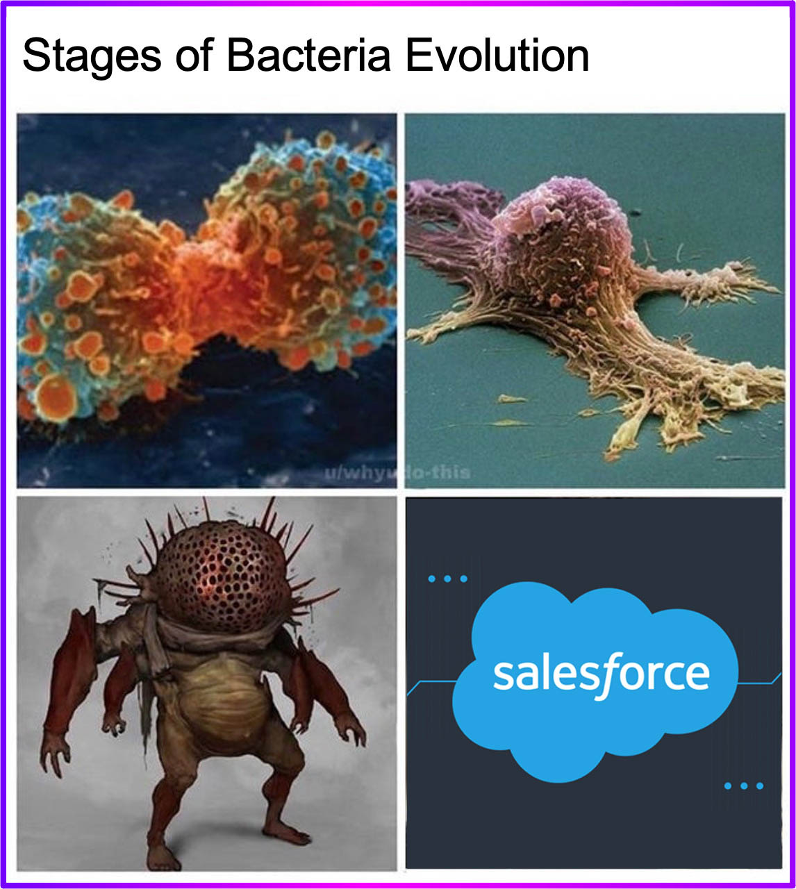 Salesforce Meme