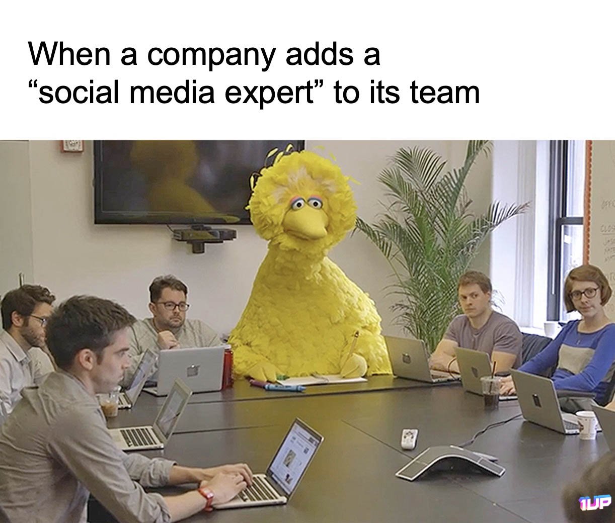 Social Media Manager Meme