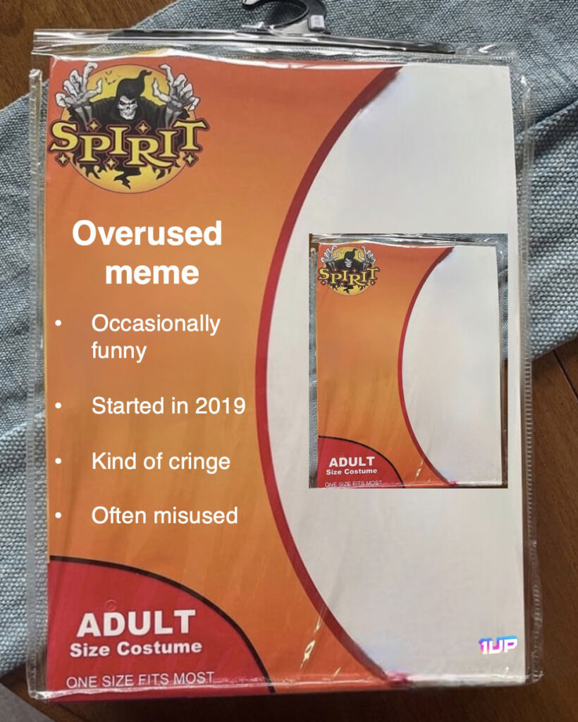 Spirit Halloween Meme