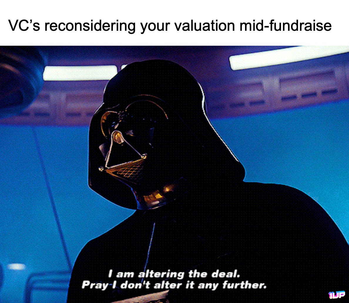 Startup Valuation Meme