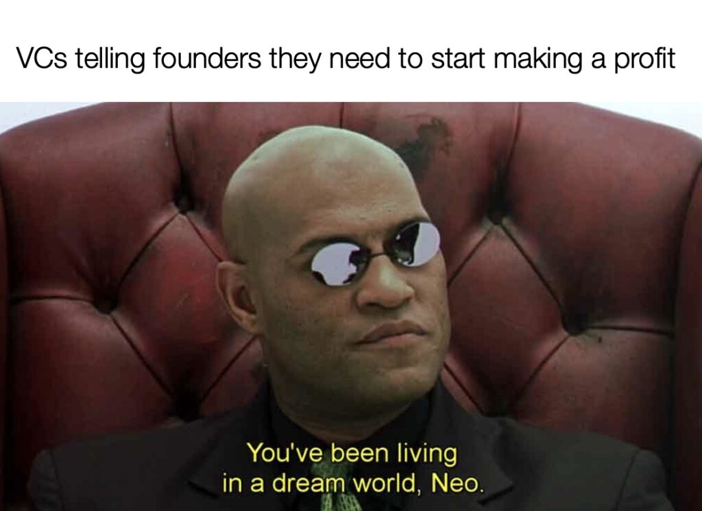 Startups Making Profit Meme