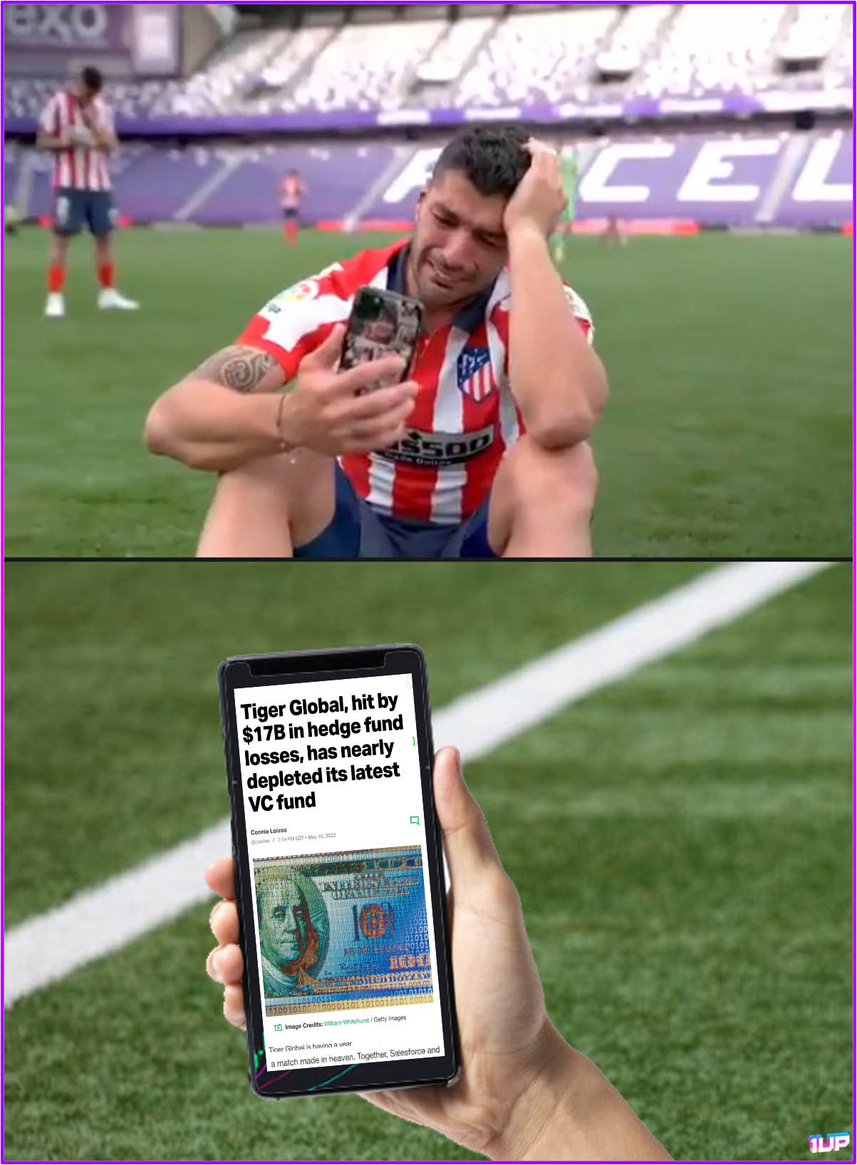 Tiger Global Meme